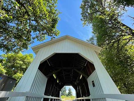 covered bridge surrounded by trees
